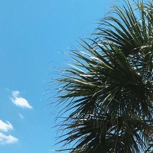 Meet your Posher, Koko